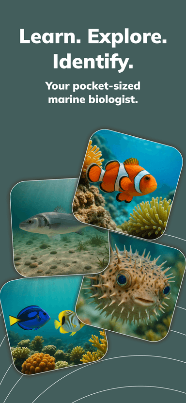 Fishy App Screenshot 1