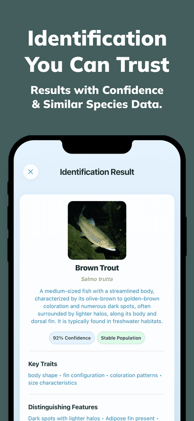 Fishy App Screenshot 3